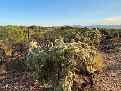 Natural Desert