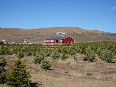 3995 Bacon Rind Rd, Reno, NV 89510 - photo 7