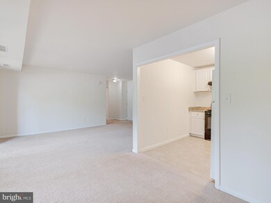 6137 Leesburg Pike unit 210, Falls Church, VA 22041 - photo 5