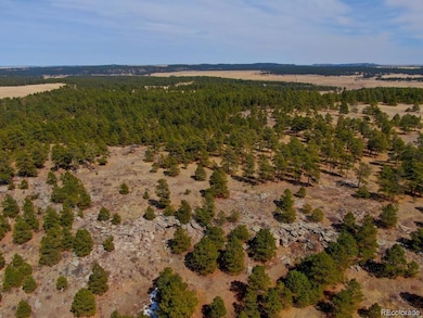 18673 N Elbert Rd, Elbert, CO 80106 - photo 6