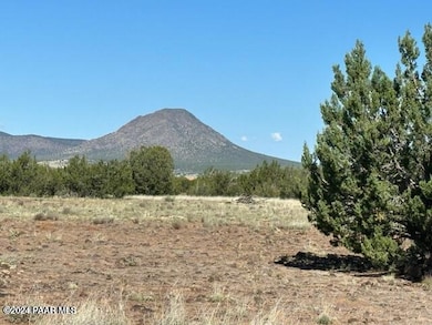 554 N Outback Rd, Ash Fork, AZ 86320 - photo 5