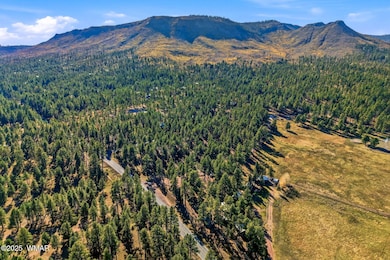 25319 US Hwy 191, Alpine, AZ 85920 - photo 5