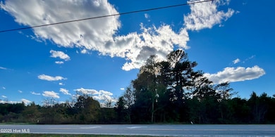 103 E Kelliwood, Goldsboro, NC 27534 - photo 6