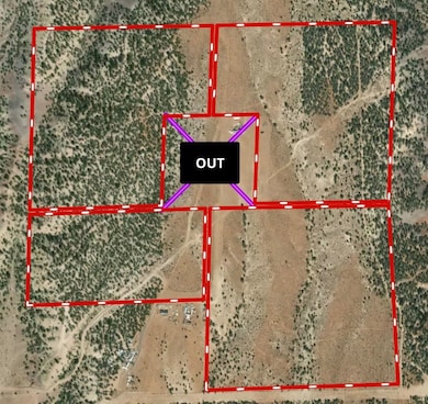 TBD 56 1 2 Rd, Collbran, CO 81624 - photo 3