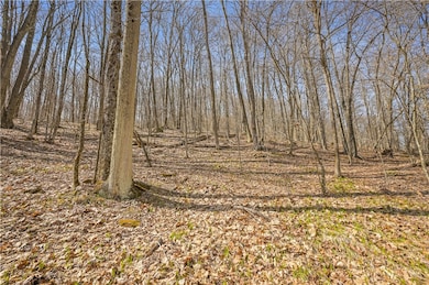 L9.113 Lutheranville Rd, Summit, NY 12175 - photo 3