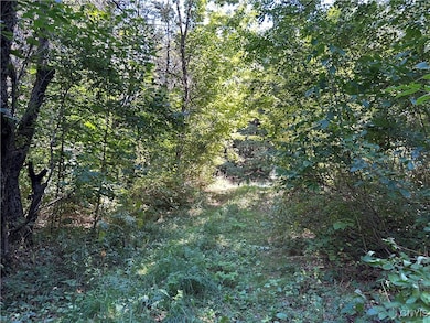 33 Austin Rd, Albion, NY 13302 - photo 6