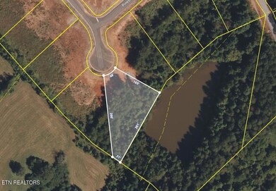 Screenshot 2024-12-20 125209