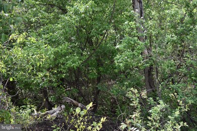 0 Maple Ridge unit MDWA179556, Hancock, MD 21750 - photo 5