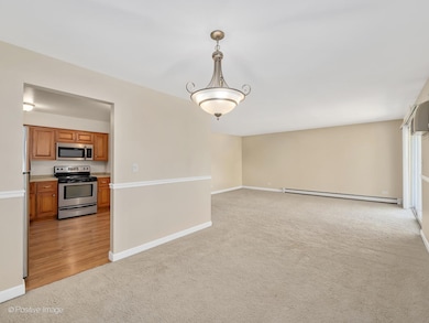 850 S Lorraine Rd unit 2M, Wheaton, IL 60189 - photo 4