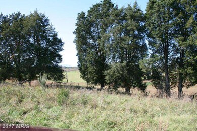 16 Ashbourne Ln, Rixeyville, VA 22737 - photo 6