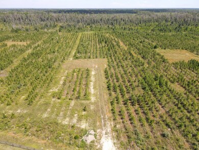 19597 NW Doug Price Rd, Blountstown, FL 32424 - photo 5