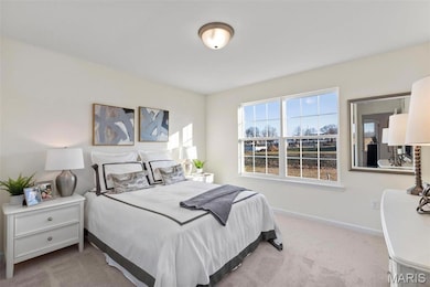 3 Royal II at Winding Bluffs, Fenton, MO 63026 - photo 4