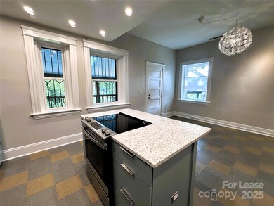 132 Biltmore Ave unit 132A, Asheville, NC 28801 - photo 7