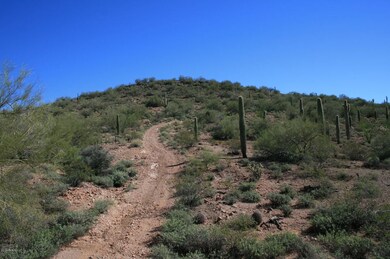 IMG_0063