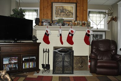 Living Room Fireplace