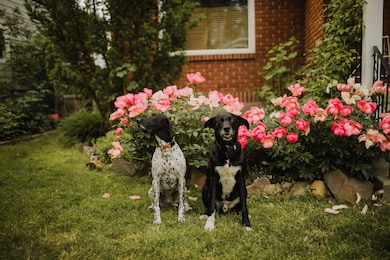 414 W 23rd Ave, Spokane, WA 99203 - photo 7