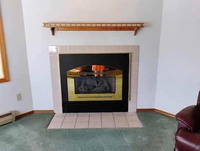 Detailed view of carpet and baseboard heating