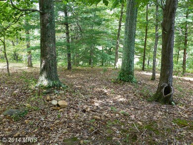 77 Brookview Ln, Front Royal, VA 22630 - photo 6