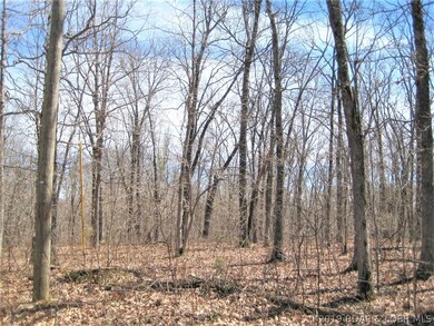 Several nice, level sites to build or camp!