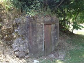 254 Weaver Hollow Rd, Johnson City, TN 37601 - photo 5