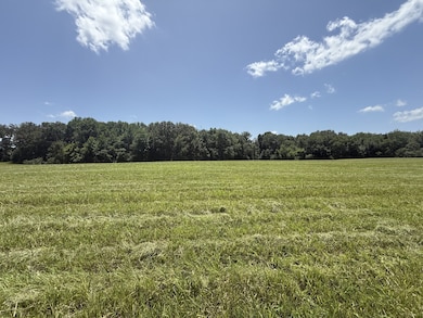 5 Pace Rd, Clarksville, TN 37043 - photo 3