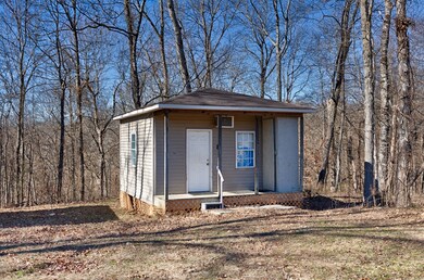 16x16 cabin with electricity