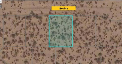 6 Bovina, Horizon City, TX 79928 - photo 3