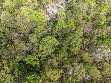 View of drone / aerial view