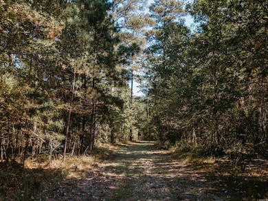 North Parcel