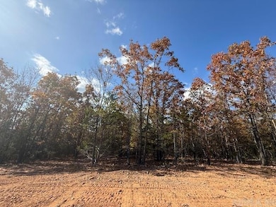 16 Summer Tyme Dr, Greenbrier, AR 72058 - photo 2