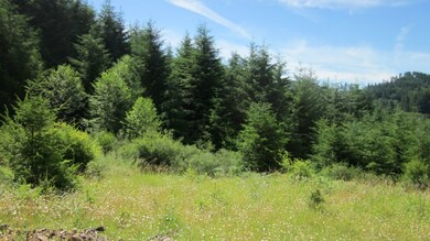 1892 King Rd, Winlock, WA 98596 - photo 5