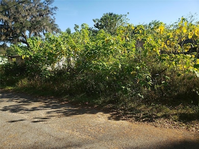 unlisted-address, Ocala, FL 34471 - photo 2