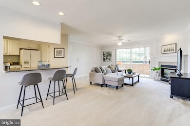 6924 Fairfax Dr unit 322, Arlington, VA 22213 - photo 4