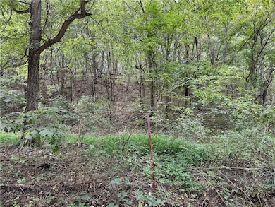 0 Lott Rd unit 1321515, Springdale, AR 72762 - photo 4