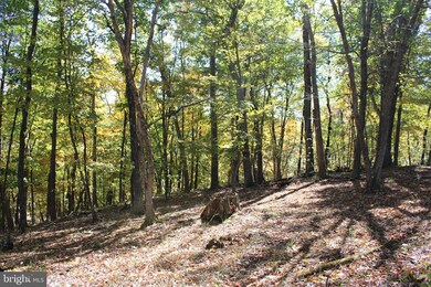 40.00 AC Shenandoah Mountain Rd, Mathias, WV 26812 - photo 2