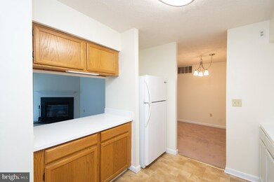 406 Aurora St, Cambridge, MD 21613 - photo 7