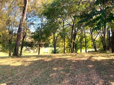 715 S Cannon Blvd, Shelbyville, TN 37160 - photo 2