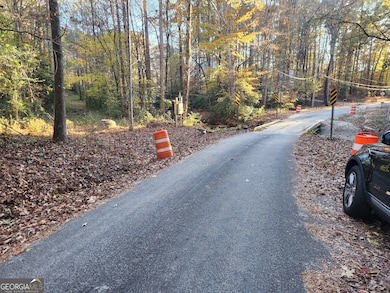 2633 Brannan Rd, Snellville, GA 30039 - photo 6