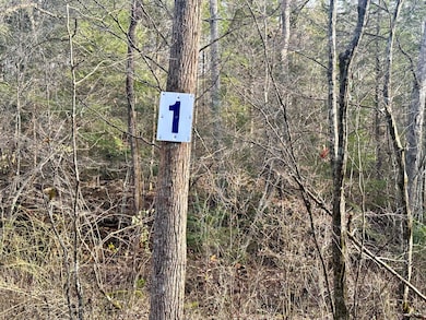 Lot 1 Radford Rd, East Bernstadt, KY 40729 - photo 2