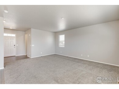 6915 Grainery Ct, Timnath, CO 80547 - photo 7