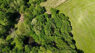 Pond