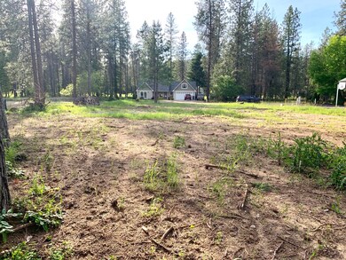 IMG-3253