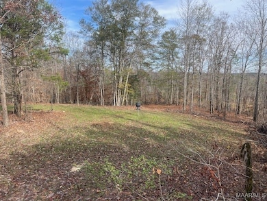 1300 Coosa County Road 71, Kellyton, AL 35089 - photo 7