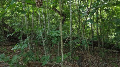 0 Buckland Ln, Bella Vista, AR 72715 - photo 6