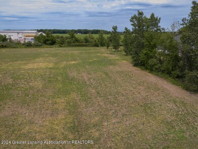 V/L W M21, Fowler, MI 48835 - photo 3