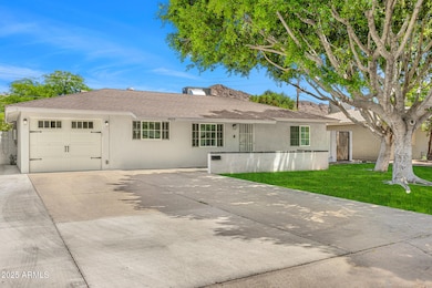 Front yard/Driveway
