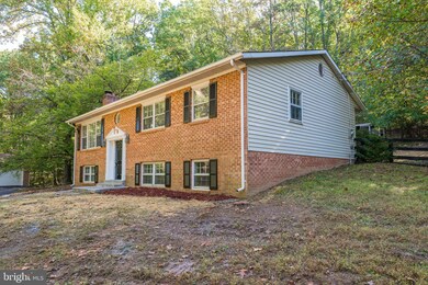 4041 Ebenezer Rd, Bluemont, VA 20135 - photo 3