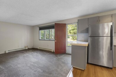 15-web-or-mls-DSC03837