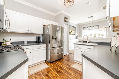 645 W Jonathan Dr unit 3, Round Lake, IL 60073 - photo 3