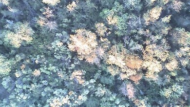 0 Buffalo Speedway unit 93601896, Houston, TX 77054 - photo 4